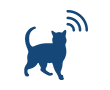 Anxiety - Behaviour - Stress - Cat