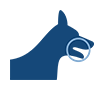 Dog Dental Care