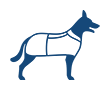Dog Coats & Clothing