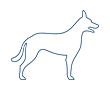 Alles für Fell & Haut des Hundes