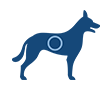 Magen - Darm - Durchfall - Hunde