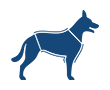 Protective Shirts for Dogs