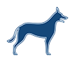 Muskeln - Knochen - Sehnen
