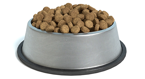 Voedselallergie bij hond en kat