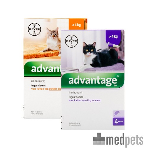 Produktbild von Advantage Katze