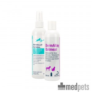 DermAllay Shampoo | Hund Katze | Bestellen