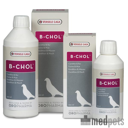 Product afbeelding van Biochol (B-chol)