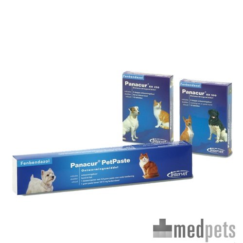 Produktbild von Panacur Hund Katze