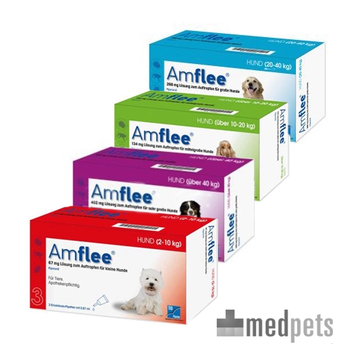 Produktbild von Amflee Spot-on Hund