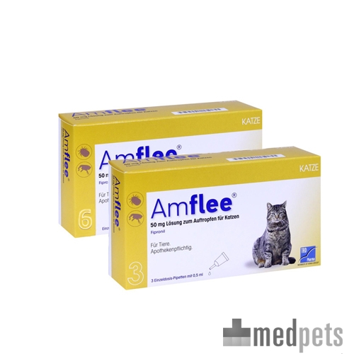 Produktbild von Amflee Spot-on Katze