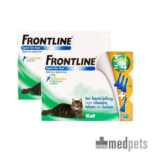 Produktbild von Frontline Spot On für Katzen